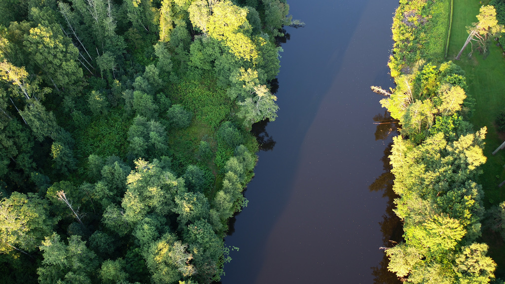 Flygbild över vattendrag som omges av skog.