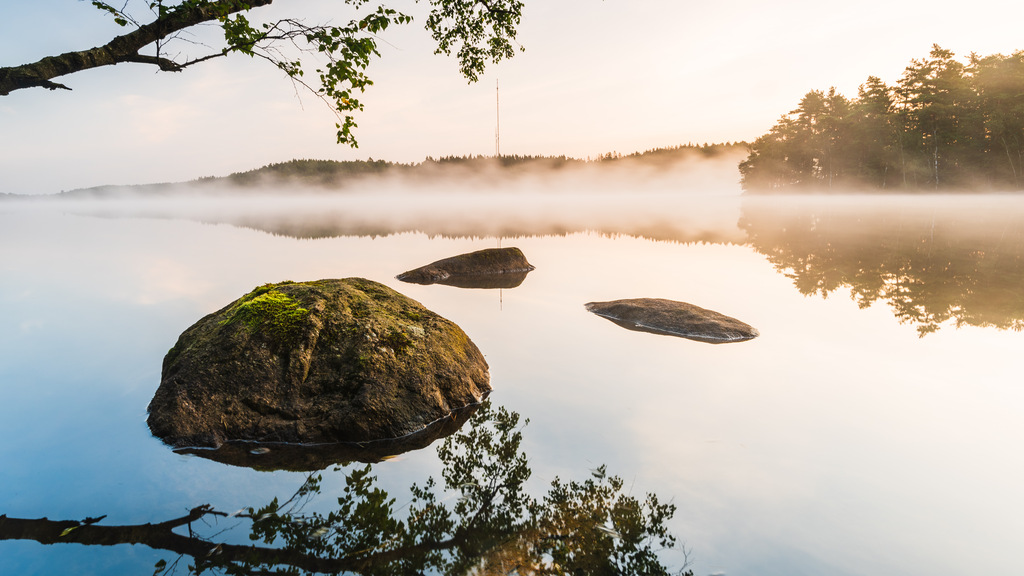 Morning mist at calm lake